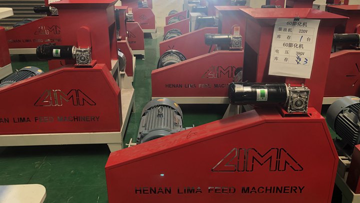 dry type Koi/Carp feed making machine in Kenya